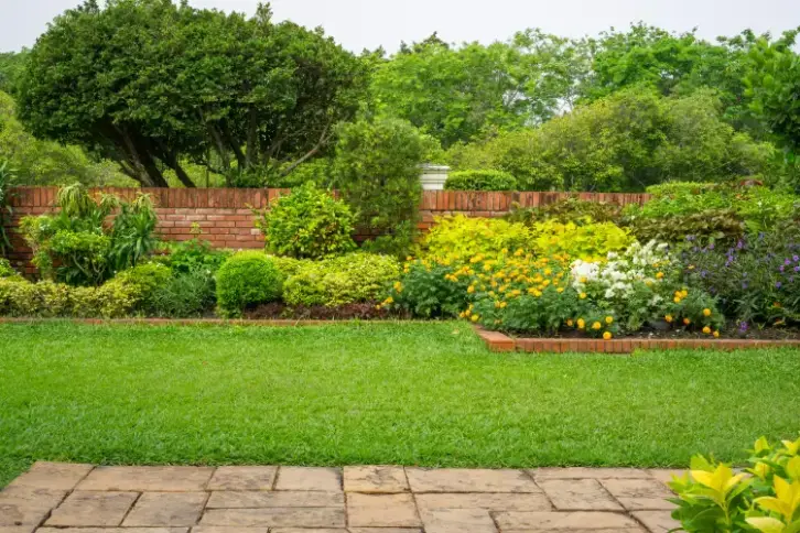 Landscape Contractor in Mesa, AZ